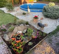 Záhrada na predaj – Kráľová nad Váhom 29 900 € - Dohoda Možná - Záhrada v Kráľovej nad Váhom pri chate s bazénom, kvetmi a psom.