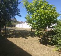 Rodinný dom s prístavbou na  podnikanie – Tešedíkovo - Záhrada rodinného domu v Tešedíkove s trávnikom a stromami.