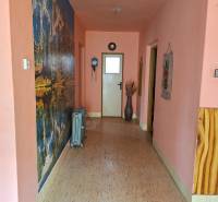 Výborný rodinný dom pre pohodlné bývanie - Chodba v rodinnom dome s podlahou s dreveným dekorom a nástennou dekoráciou.