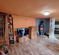 Hľadáte bývanie alebo investičnú príležitosť  - Obývacia izba s podlahou s dreveným dekorom, krbom a televízorom v rodinnom dome.