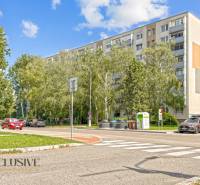 PRÍJEMNÝ 3 IZBOVÝ BYT | P.O.HVIEZDOSLAVA | TOPOĽČANY - Ulica P.O. Hviezdoslava v Topoľčanoch so stromami a 3-izbovým bytom na pozadí.