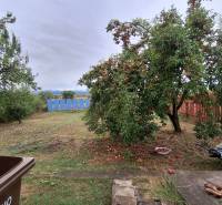 Investujte do budúcnosti - Rodinný dom v Zacharovciach s ovocnými stromami v záhrade a dreveným plotom.