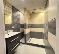 NOVINKA .... Na  predaj 3 izbový byt na sídlisku SNP v Michalovciach - Kúpeľňa so sprchovacím kútom a umývadlom v 3-izbovom byte.