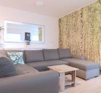 ANTOLSKÁ, 2-i byt, 54 m2 – novostavba REZIDENCIA DRAŽDIAK, zariadený - Obývacia izba v 2-izbovom byte so sivým gaučom a tapetou s lesným motívom.