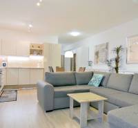 ANTOLSKÁ, 2-i byt, 54 m2 – novostavba REZIDENCIA DRAŽDIAK, zariadený - Obývačka s kuchyňou v 2-izbovom byte, sivá sedačka, skriňa, podlaha s dreveným dekorom.