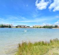 ANTOLSKÁ, 2-i byt, 54 m2 – novostavba REZIDENCIA DRAŽDIAK, zariadený - Veľké jazero s labuťou, pozadie tvoria paneláky Bratislava - Petržalka na Antolskej.