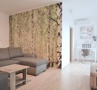 ANTOLSKÁ, 2-i byt, 54 m2 – novostavba REZIDENCIA DRAŽDIAK, zariadený - Obývačka v 2-izbovom byte s pohovkou, tapetou lesa a dreveným dekorom.