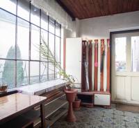 Rodinný dom s garážou na ul. Pod kopcom, Nové Zámky, 649m2 - Interiér v rodinnom dome s kvetináčom, stolom a vešiakom na dáždniky.