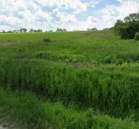 Na predaj : stavebný pozemok Vranov nad Topľou - Pozemok na bývanie v Lomnickej, Vranov nad Topľou, s trávnatou plochou a kopcovitou krajinou.