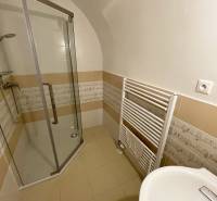 PREŠOV-ŠIRŠIE CENTRUM,POLYFUNKČNÁ BUDOVA,VL.PARKOVISKO,UL.VAJANSKÉHO - Kúpeľňa v budove s keramickou dlažbou, sprchovým kútom a rebríkovým radiátorom.