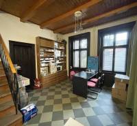 PREŠOV-ŠIRŠIE CENTRUM,POLYFUNKČNÁ BUDOVA,VL.PARKOVISKO,UL.VAJANSKÉHO - Interiér s dreveným stropom a podlahou s dekórom, obsahuje stôl so stoličkami a regály.