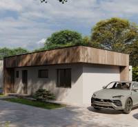 Novostavba 4-izbového rodinného dvojdomu v obci Žihárec - Rodinný dom v Žihárci, moderné vozy, upravená záhrada, jasná obloha a stromy v pozadí.