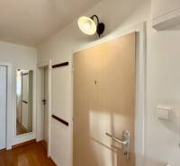 * 3i byt po rekonštrukcii, G. Dusíka, Prednádražie I., Trnava - Chodba v 3-izbovom byte s podlahou s dreveným dekorom a stenovým obrazom.