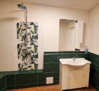 Rodinný dom po čiastočnej rekonštrukcii - Kúpeľňa v rodinnom dome s umývadlom, sprchou a zelenou kachličkovou dekoráciou.