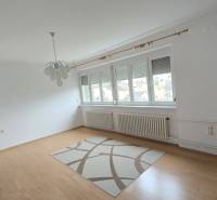 3-izbový byt so záhradou a garážou – Sadová ulica, Piešťany - Obývacia izba v 3-izbovom byte s podlahou s dreveným dekorom a kobercom.