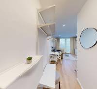  PRENÁJOM - Garsónka s balkónom Holíč, Lúčky 11 - Predsieň garsónky s podlahou s dreveným dekorom, zrkadlom a vstupom do obývacieho priestoru.