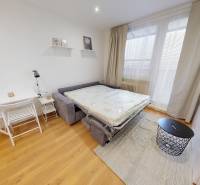  PRENÁJOM - Garsónka s balkónom Holíč, Lúčky 11 - Garsónka s rozkladacou pohovkou, stolom a podlahou s dreveným dekorom.