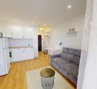  PRENÁJOM - Garsónka s balkónom Holíč, Lúčky 11 - Interiér garsónky s bielou kuchyňou, gaučom a podlahou s dreveným dekorom.