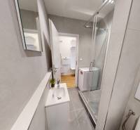  PRENÁJOM - Garsónka s balkónom Holíč, Lúčky 11 - Kúpeľňa v garsónke s umývadlom, sprchovacím kútom a podlahou s dreveným dekorom.