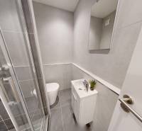  PRENÁJOM - Garsónka s balkónom Holíč, Lúčky 11 - Kúpeľňa v garsónke s umývadlom, sprchovým kútom a toaletou.