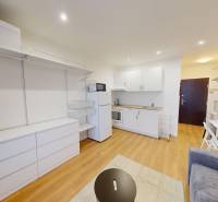  PRENÁJOM - Garsónka s balkónom Holíč, Lúčky 11 - Garsónka s bielym nábytkom, kuchynskou linkou, podlaha s dreveným dekorom.