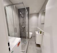  PRENÁJOM - Garsónka s balkónom Holíč, Lúčky 11 - Kúpeľňa v garsónke s preskleným sprchovým kútom, práčkou a umývadlom s úložným priestorom.