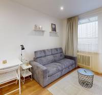  PRENÁJOM - Garsónka s balkónom Holíč, Lúčky 11 - Garsónka so sivou pohovkou, bielym stolíkom a podlahou s dreveným dekorom.