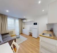  PRENÁJOM - Garsónka s balkónom Holíč, Lúčky 11 - Garsónka s podlahou s dreveným dekorom, sedačkou, stolom a kuchynským kútom.