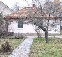 Na predaj rodinný dom Levice!. - Rodinný dom v Leviciach na ulici 29. augusta s predzáhradkou a stromy.