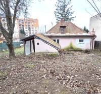 Na predaj rodinný dom Levice!. - Záhrada a starší rodinný dom na ulici 29. augusta v Leviciach.