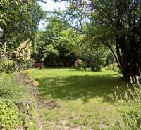 Horský Park:Na prenájom veľkometrážny, 4i, charizmatický byt - Záhrada s lavičkou, obklopená bujnou vegetáciou a stromami, vytvára pokojné prostredie.