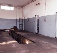 Prevádzková budova-AUTOSERVIS na predaj vo Veľkých Úľanoch - Oprava áut vo výrobných priestoroch s podlahou s dreveným dekorom a servisnou jamou.