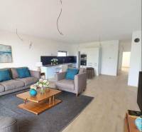 POSLEDNÁ Novostavba 4-izb rodinného domu v lukratívnej časti mesta - Obývacia izba v Rodinnom dome s podlahou s dreveným dekorom, sedačkou a dekoráciami.