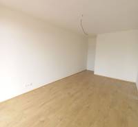 POSLEDNÁ Novostavba 4-izb rodinného domu v lukratívnej časti mesta - Izba v rodinnom dome s podlahou s dreveným dekorom a bielymi stenami.