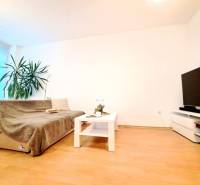 Miesto, kde sa budete cítiť doma–2-izbový byt na sídlisku West-Galana - Obývačka v 2-izbovom byte s podlahou s dreveným dekorom, pohovkou a televízorom.