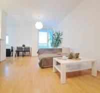 Miesto, kde sa budete cítiť doma–2-izbový byt na sídlisku West-Galana - Obývacia izba v 2-izbovom byte s podlahou s dreveným dekorom, pohovka a konferenčný stolík.