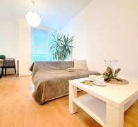 Miesto, kde sa budete cítiť doma–2-izbový byt na sídlisku West-Galana - Obývačka v 2-izbovom byte s podlahou s dreveným dekorom, sedačkou a stolíkom.