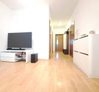 Miesto, kde sa budete cítiť doma–2-izbový byt na sídlisku West-Galana - Obývacia izba v 2-izbovom byte s televízorom a podlahou s dreveným dekorom.