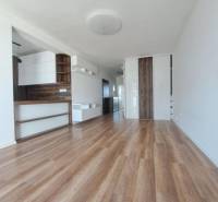REZERVOVANÝ! Nová cena! Moderný 2-izbový byt – Galanta, sídlisko West - Svetlá miestnosť s podlahou s dreveným dekorom v 2-izbovom byte.