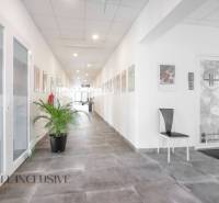 ALL INCLUSIVE I PODNIKATEĽSKÝ PRIESTOR 18 M2 NA PRENÁJOM GALANTA    - Svetlá chodba s kvetinou a obrazmi, na ulici Vajanského, vhodná pre obchodné priestory.