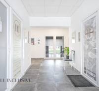 ALL INCLUSIVE I PODNIKATEĽSKÝ PRIESTOR 18 M2 NA PRENÁJOM GALANTA    - Jasný interiér s dverami do obchodných priestorov na ulici Vajanského s prítomnosťou rastlín.