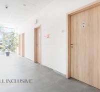 ALL INCLUSIVE I PODNIKATEĽSKÝ PRIESTOR 18 M2 NA PRENÁJOM GALANTA    - Chodba v kanceláriách na Vajanského ulici v Galante s drevenými dverami a rastlinou.