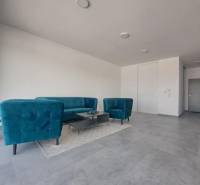 SKOLAUDOVANÉ! Posledné voľné obchodné priestory na predaj v novostavbe - Obchodné priestory s modrými sedačkami, konferenčným stolíkom na koberci a sivou dlažbou.