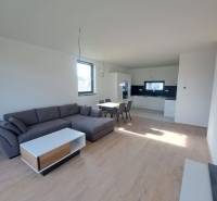 REZERVOVANÉ! Posledná novostavba 4-izbového dvojdomu v štandarde - Obývačka v rodinnom dome s kuchyňou, sedačkou a podlahou s dreveným dekorom.