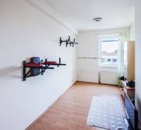 Kúpte si veľký PODKROVNÝ 4i BYT so ZÁHRADOU a PIVNICOU v Starom meste - Izba v 4-izbovom byte s nástenným športovým vybavením a oknom.