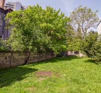 Kúpte si veľký PODKROVNÝ 4i BYT so ZÁHRADOU a PIVNICOU v Starom meste - Záhrada s trávnikom a stromami na Ľadovej ulici v Bratislave - Starom Meste.