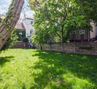 Kúpte si veľký PODKROVNÝ 4i BYT so ZÁHRADOU a PIVNICOU v Starom meste - Záhrada s trávnikom a stromami pri dome na Ľadovej ulici v Bratislave - Staré Mesto.