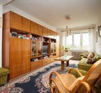 NA PREDAJ,3-IZBOVÝ TEHLOVÝ BYT,KOŠICE-ŠACA - Obývacia izba s kobercom, nábytkom z dreva a veľkým oknom v 3-izbovom byte.