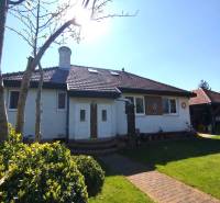 Predaj RD v Šali s bazénom - Rodinný dom v Šali so záhradou, tehlová cesta, strom a kríky pred vstupom.