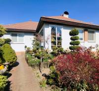 Predaj RD v Šali s bazénom - Rodinný dom v Šali s upravenou záhradou, cestičkou a zeleňou pod modrou oblohou.